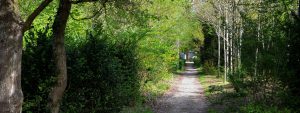 marche-decouverte-jeudi-am-6-8-km